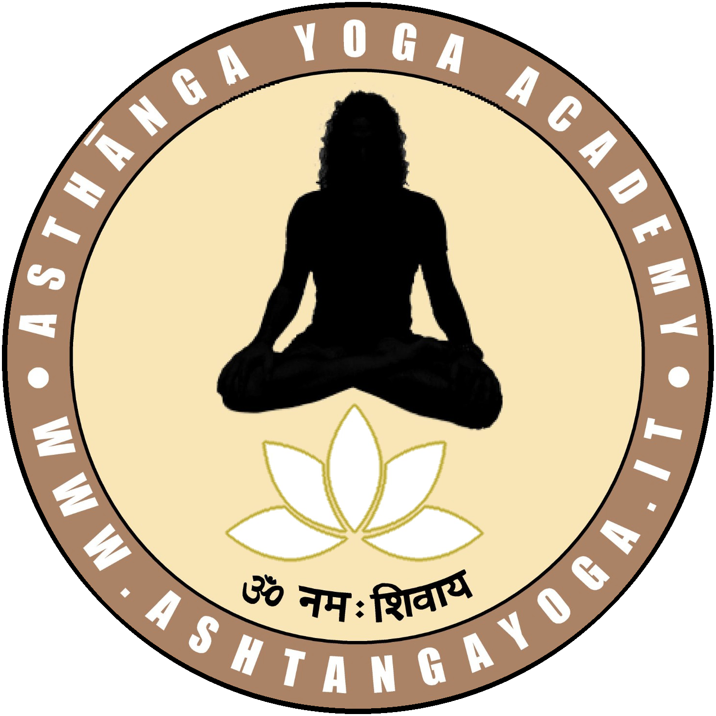 Ashtanga Yoga Academy